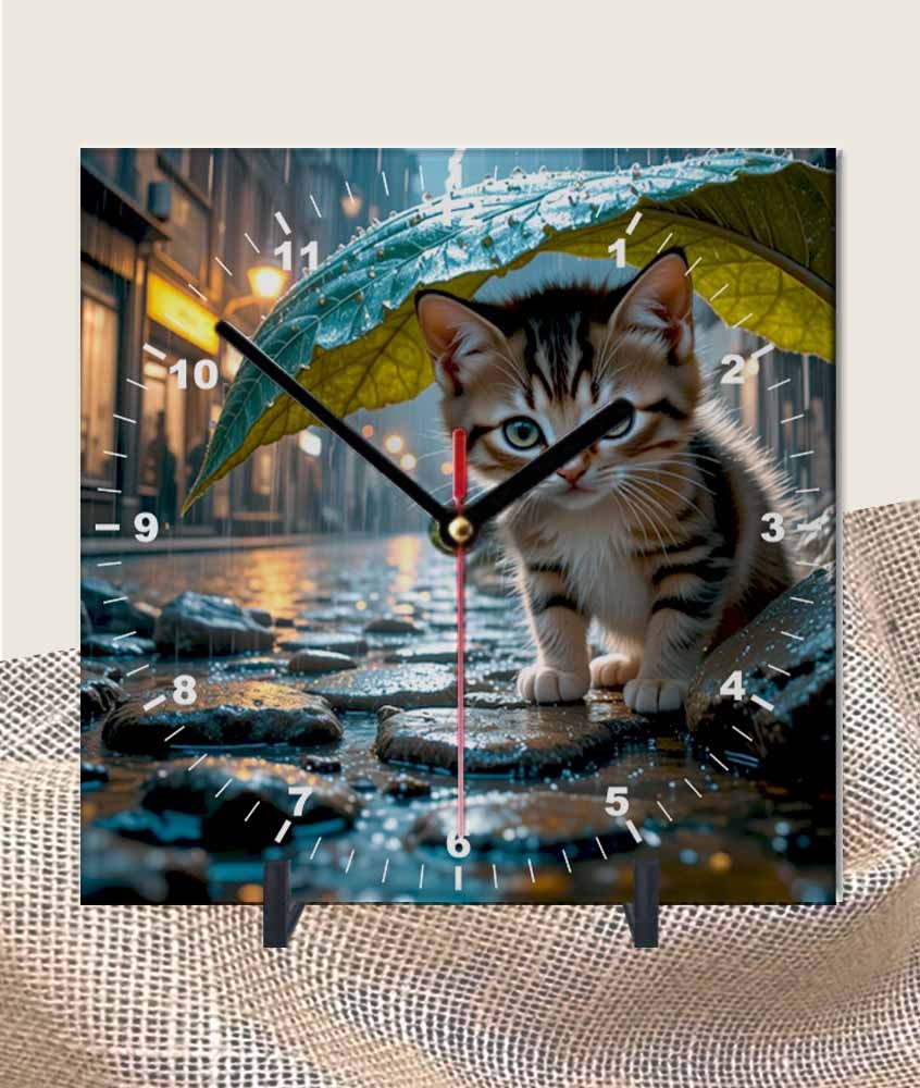 Pet - Gatinho na Chuva